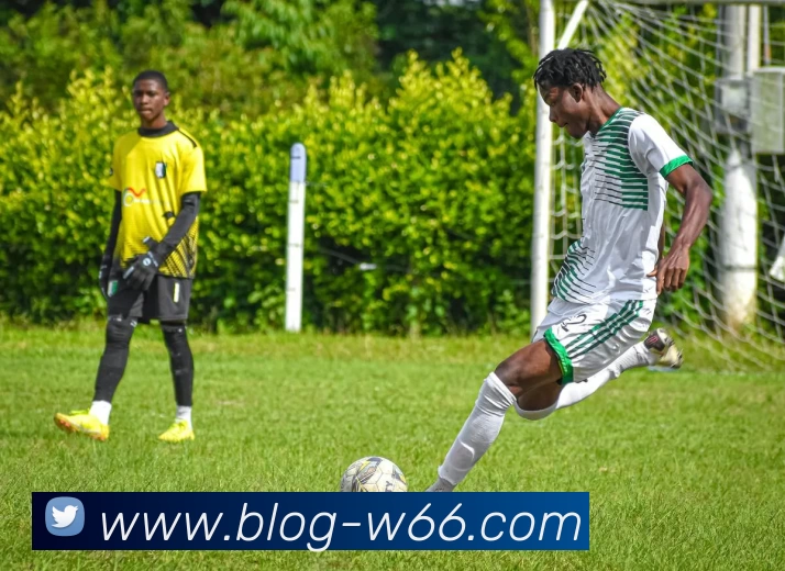 App Interface Preview